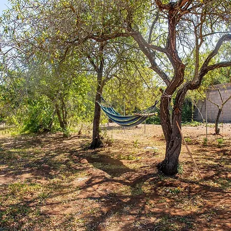 Villa Adelia Porto Conte